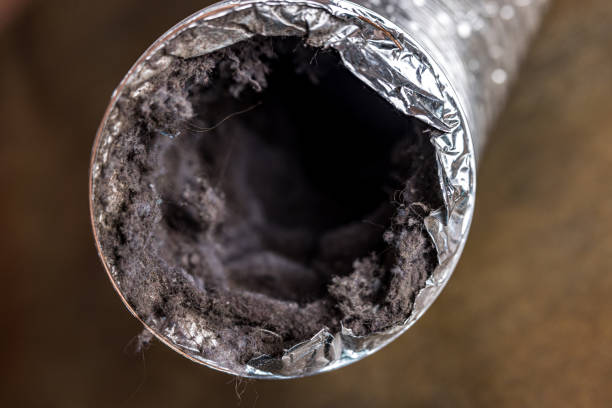 Best Air Duct Cleaning Near Me  in Maryville, MO